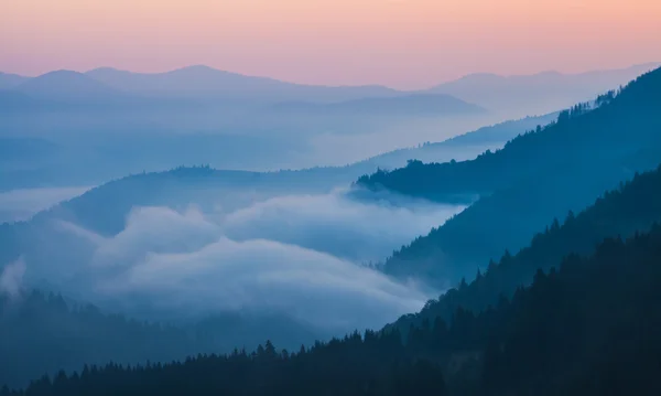 Mist op de berg — Stockfoto