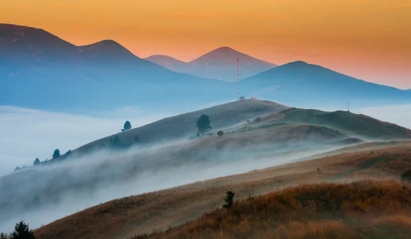 Nebel auf dem Berg — Stockfoto