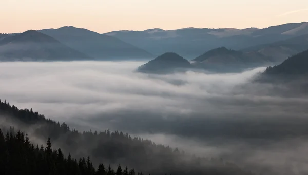 Fog on the mountain — Stock Photo, Image