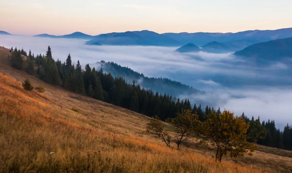 Fog on the mountain — Stock Photo, Image