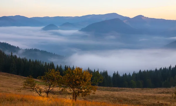 Nebel auf dem Berg — Stockfoto