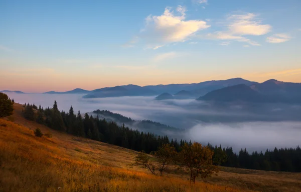 Mist op de berg — Stockfoto