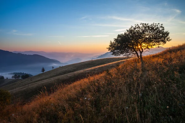 Nebel auf dem Berg — Stockfoto