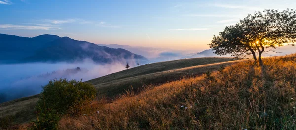 Nebel auf dem Berg — Stockfoto