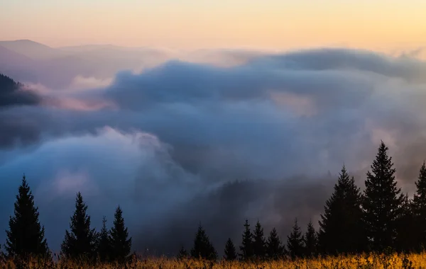 Mist op de berg — Stockfoto