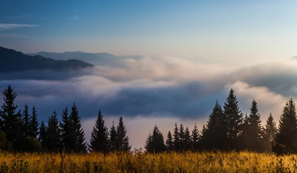 Nebel auf dem Berg — Stockfoto