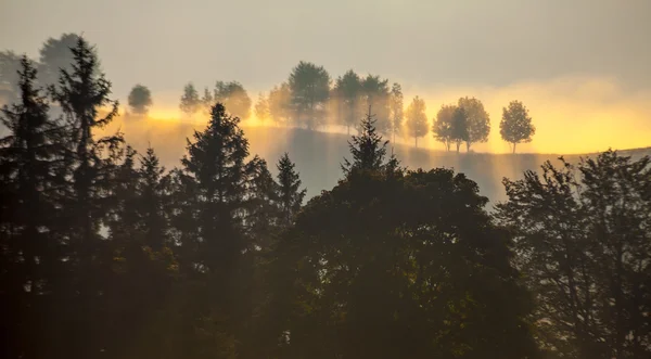 Fog on the mountain — Stock Photo, Image