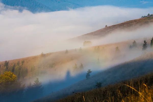 山上的雾 — 图库照片