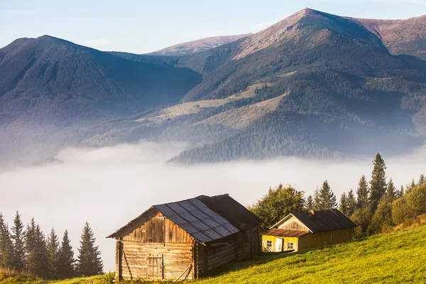 Dimma på berget — Stockfoto