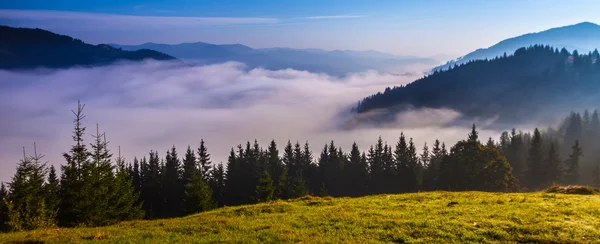 Nevoeiro na montanha — Fotografia de Stock