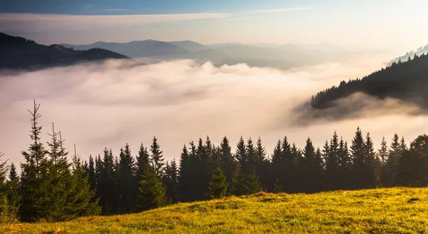 Nebel auf dem Berg — Stockfoto