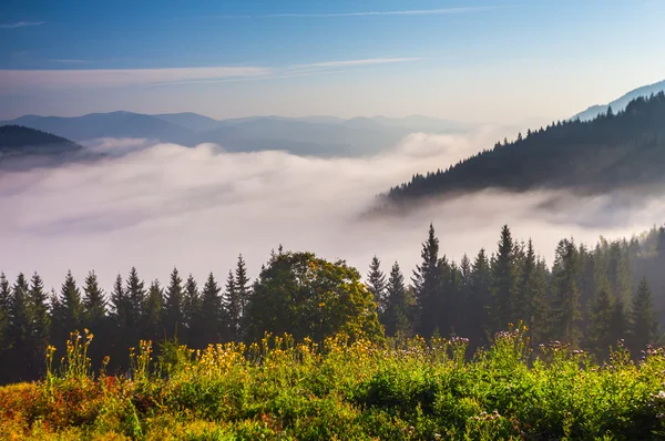 Nebel auf dem Berg — Stockfoto