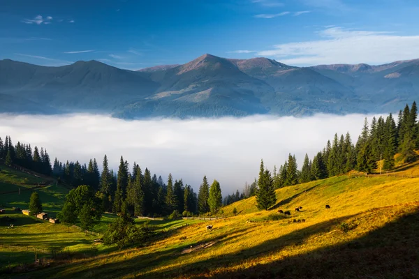 Köd a hegyen — Stock Fotó