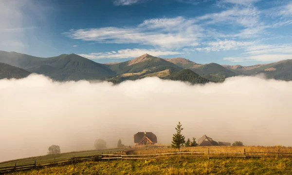 Mist op de berg — Stockfoto