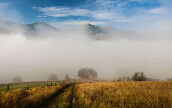 Mist op de berg — Stockfoto