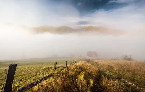 Mist op de berg — Stockfoto