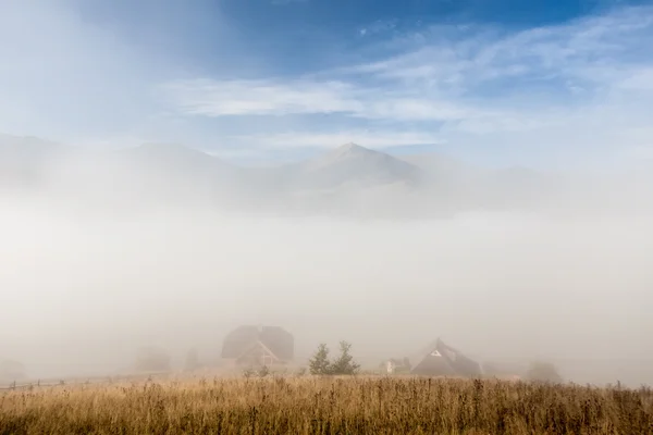 Mist op de berg — Stockfoto