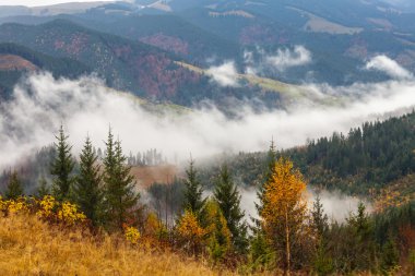 Bulutların üstünde dağ