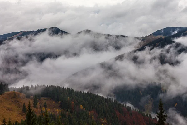 Montagna sopra le nuvole — Foto Stock