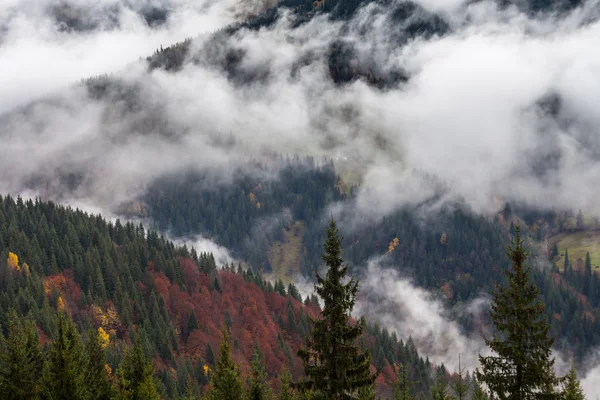 Montagna sopra le nuvole — Foto Stock