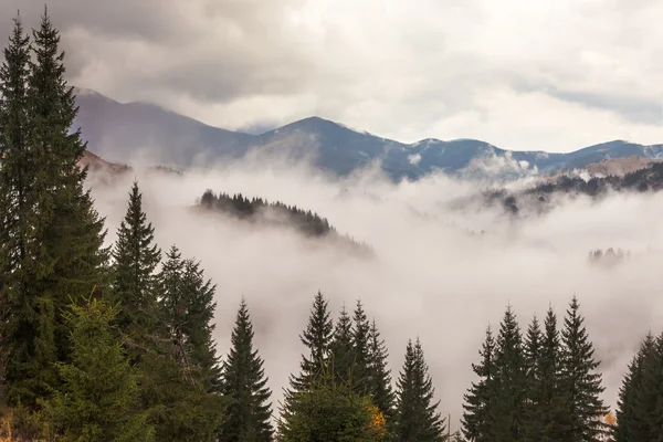 Mountain above the clouds — Stock Photo, Image