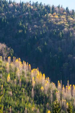 Bulutların üstünde dağ