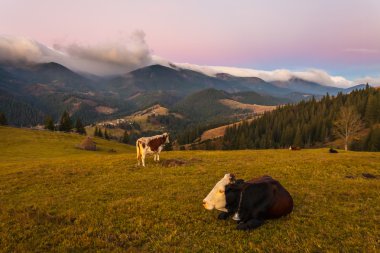 Bulutların üstünde dağ