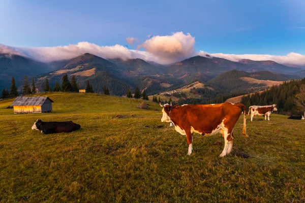 Montagna sopra le nuvole — Foto Stock