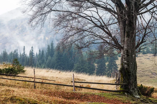 Montagna sopra le nuvole — Foto Stock