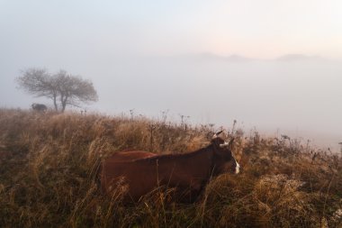 Bulutların üstünde dağ