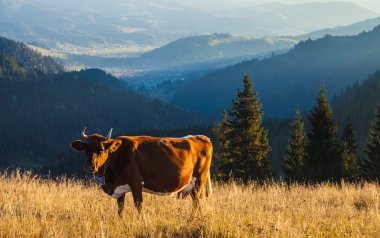 Bulutların üstünde dağ