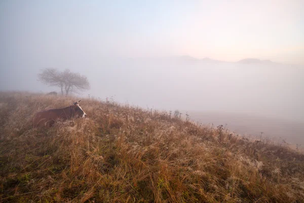 Berget ovanför molnen — Stockfoto