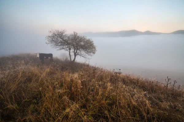 Berget ovanför molnen — Stockfoto