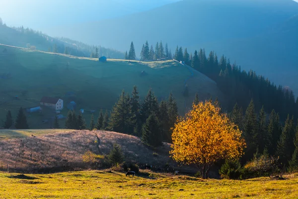 Гора над хмарами — стокове фото