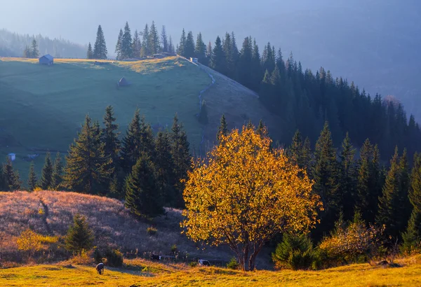 Montagne au-dessus des nuages — Photo