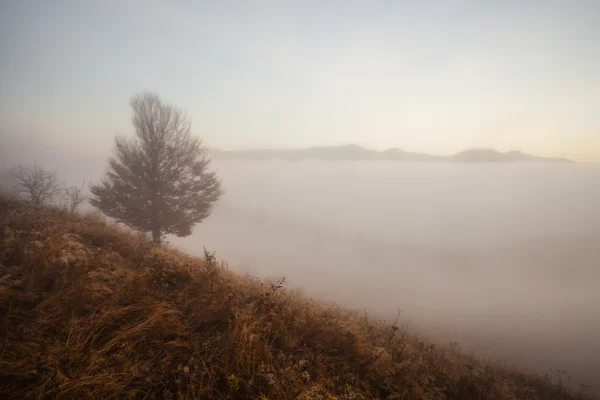 Montagne au-dessus des nuages — Photo