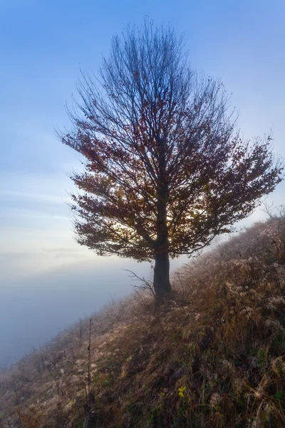 Montaña sobre las nubes —  Fotos de Stock