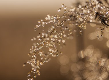 Bulutların üstünde dağ