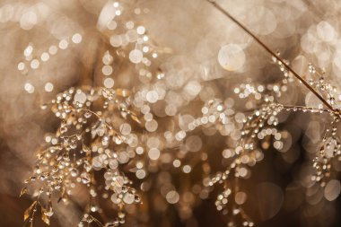 Bulutların üstünde dağ