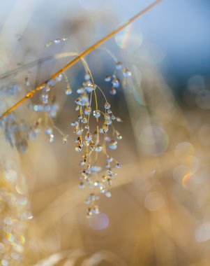 Bulutların üstünde dağ