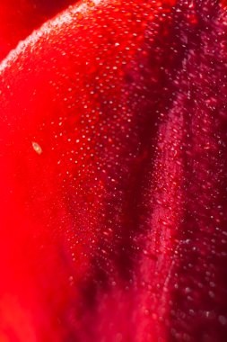 Bulutların üstünde dağ