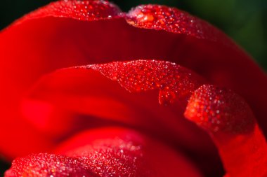 Bulutların üstünde dağ