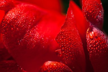 Bulutların üstünde dağ