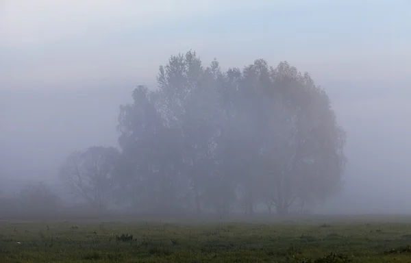 Berg über den Wolken — Stockfoto