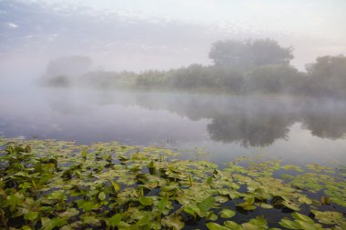 Bulutların üstünde dağ