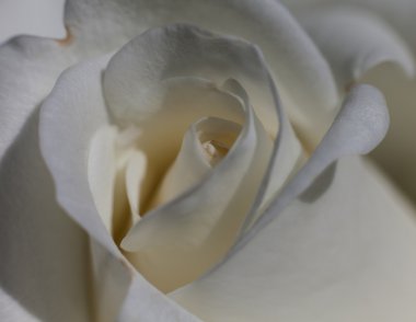 Bulutların üstünde dağ