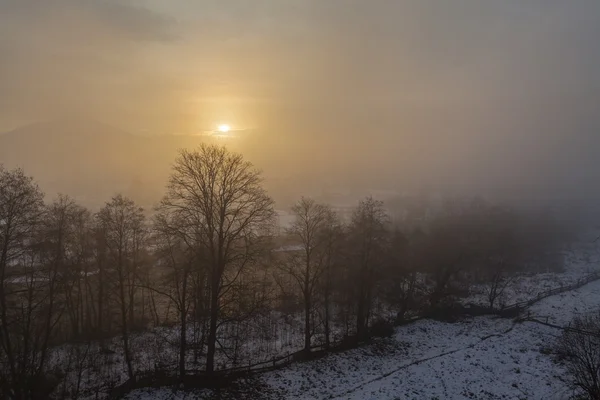 Dramatické Zimní krajina — Stock fotografie