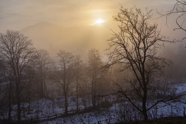 戏剧性的冬季风景 — 图库照片