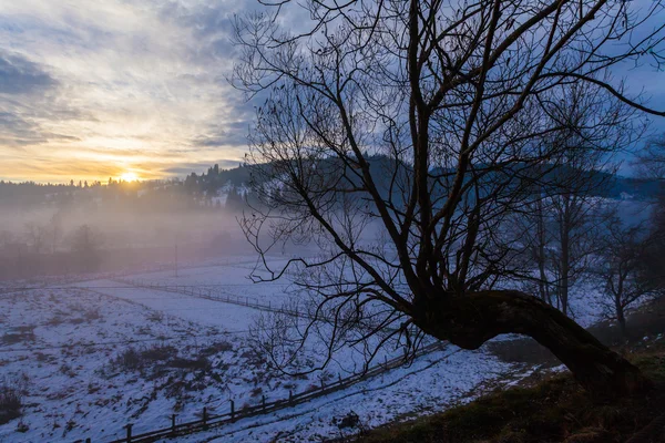 Dramatische winterlandschap — Stockfoto