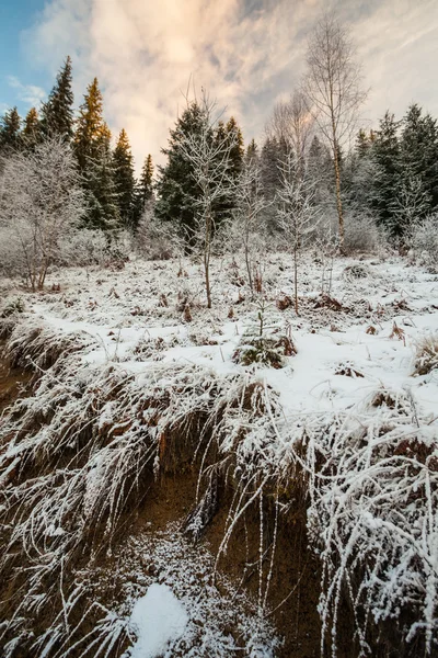 Красивый зимний пейзаж в горах — стоковое фото
